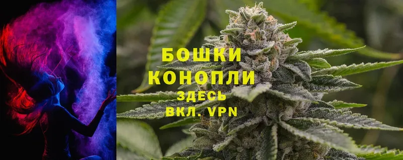 магазин    Подпорожье  Канабис THC 21% 